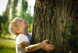 bambino che abbraccia un albero