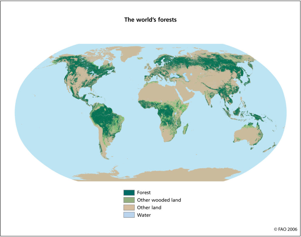 foreste nel mondo
